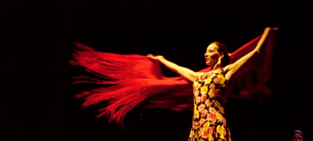 Flamenco Anfaenger Kurse, Flamencostudio Lilian Tscherter Basel